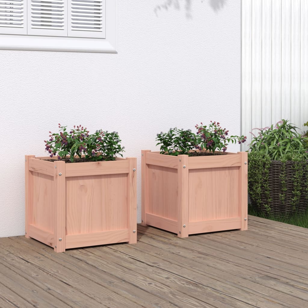 Vidaxl Planters 2 PCS TOLID DOUGLASHOUT