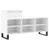 Vidaxl Shoe Cabinet 102x36x60 cm Property Wood White