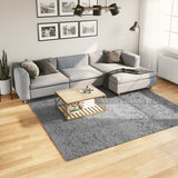 Vidaxl rug Paramploa Shamgy héich modern 240x240 cm Grey