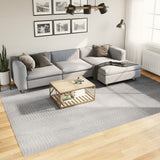 Vidaxl rug IZA Low -pile Scandinavian 240x340 cm Gray