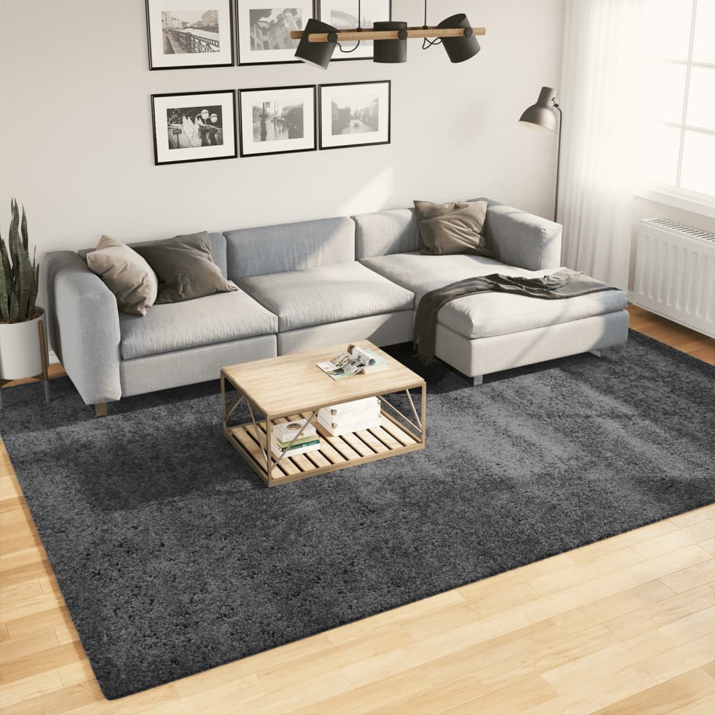 Vidaxl rug oviedo niddereg -pile 240x340 cm Anthhacite -Colored