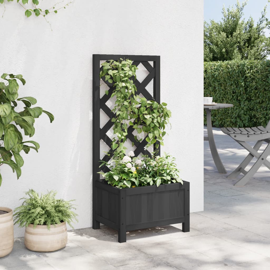 Plantador Vidaxl con Latwerk Solid Vurenhout Black