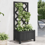 VidaXL Planter with Latwerk Solid Vurenhout Black