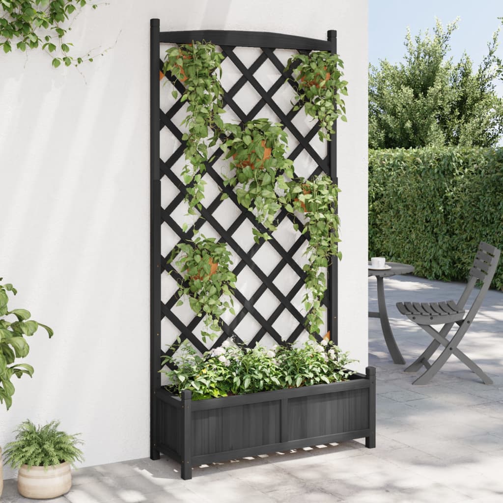 Vidaxl Planter s latwerk solidní Vurenhout Black