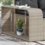 Vidaxl Storage Science 2 St Poly rattan jasnoszary