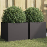 Vidaxl Planters 2 St 32x30x29 cm stål sort