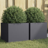 Vidaxl Planters 2 ST 32x30x29 CM Steel Anthracite -Colored