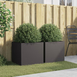 Vidaxl Planters 2 St 49x47x46 cm stål sort