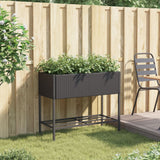 Vidaxl Plannet med Schap Poly Rattan Black