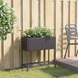 Vidaxl Plannet avec schap poly rattan noir