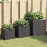 Plantadores Vidaxl 3 St Poly Rattan Black