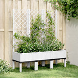 VidaXL Plannet with Latwerk 120x40x142 cm Polypropene white