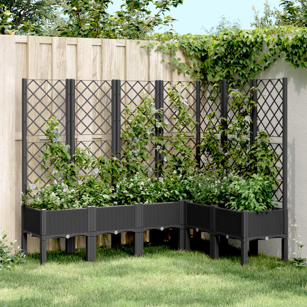 Plantador Vidaxl con Latwerk 160x120x142 CM Polypropene Black