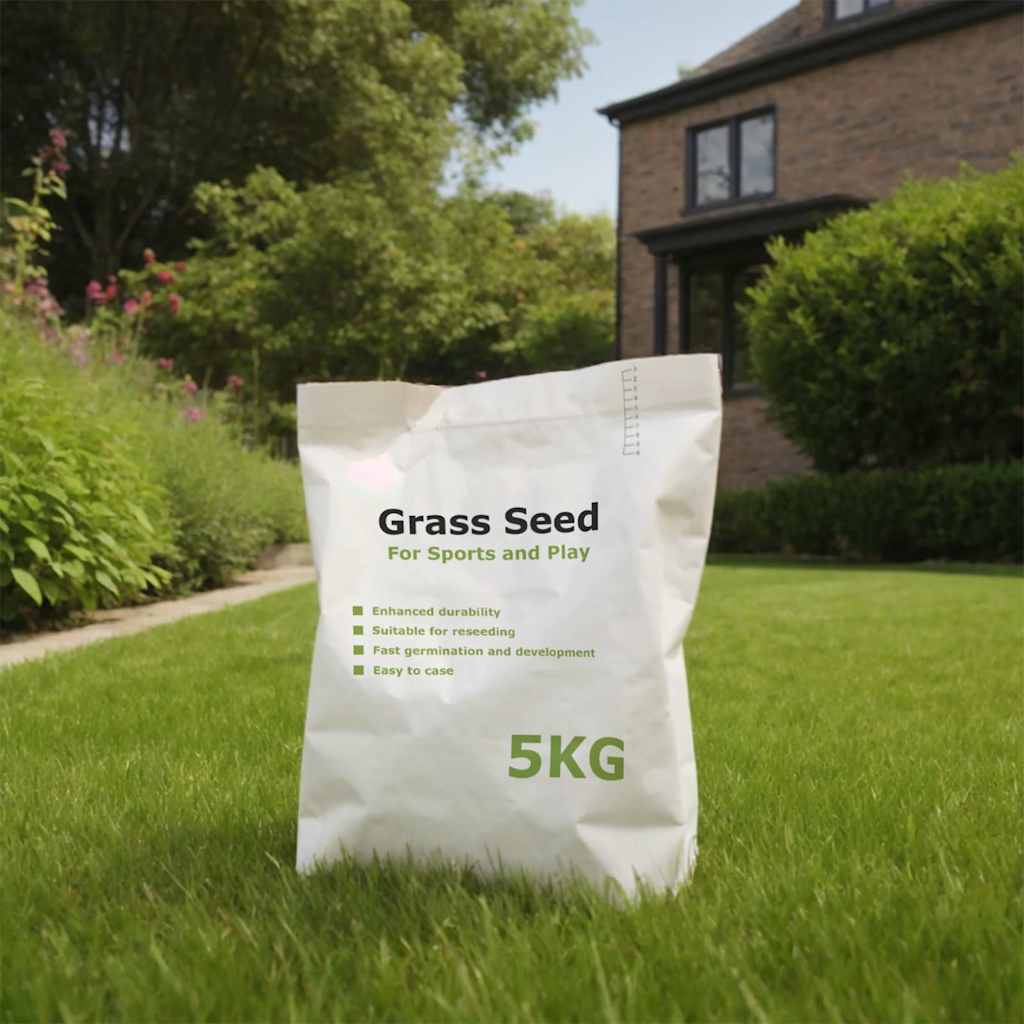 VidaXL Graszaad voor sport en spel 5 kg