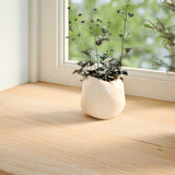 Vidaxl Window Sills 2 ST Nietraktowany 100x25x2 cm stały dąb