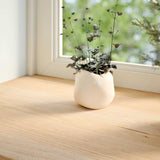 Vidaxl window sills 2 st untreated 120x30x2 cm solid oak