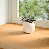 Vidaxl Fenster Sills 2 St 80x40x2 cm blesséierter Oak Liichtbrong