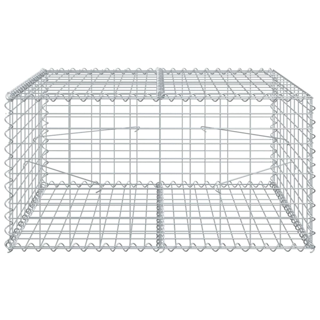 Vidaxl schanskorf 100x100x50 cm pocinkano železno srebro obarvano