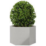 Vidaxl plantenbak zeshoek 69x60x45 cm roestvrijstaal