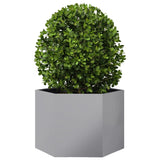 VidaXL Plantenbak zeshoek 69x60x45 cm gegalvaniseerd staal