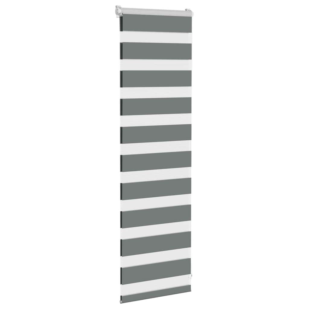 Vidaxl zebra rullo cieco 40x100 cm di larghezza di polvere 35,9 cm grigio scuro