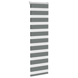 Vidaxl Zebra roller blind 40x100 cm dust width 35.9 cm dark gray