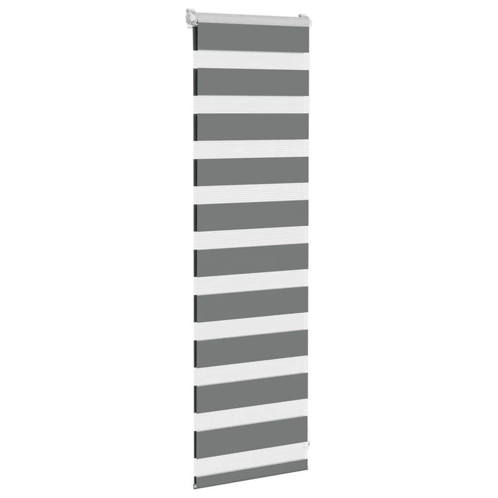 Vidaxl zebra rullo cieco 50x100 cm larghezza del tessuto 45,9 cm grigio scuro