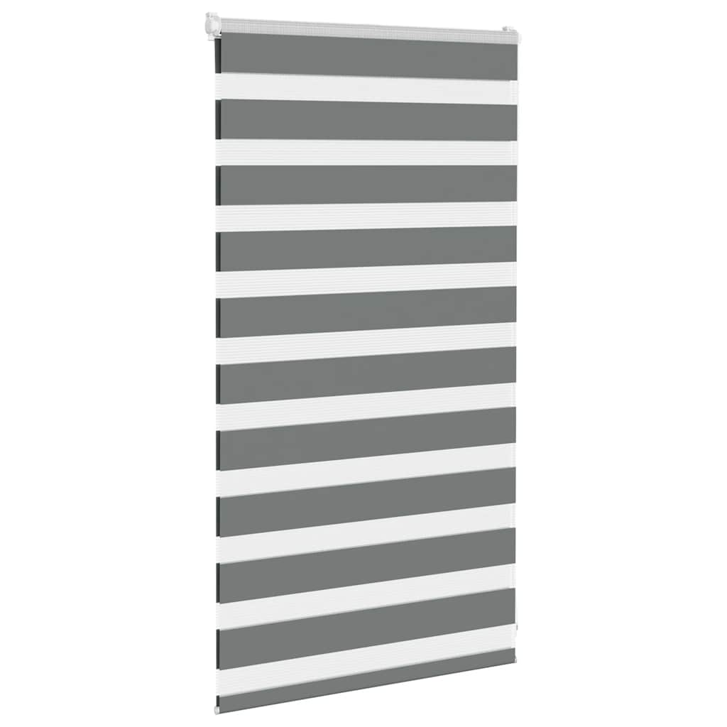 Vidaxl Zebra Roller Blind 70x100 cm Dammbredd 65,9 cm mörkgrå