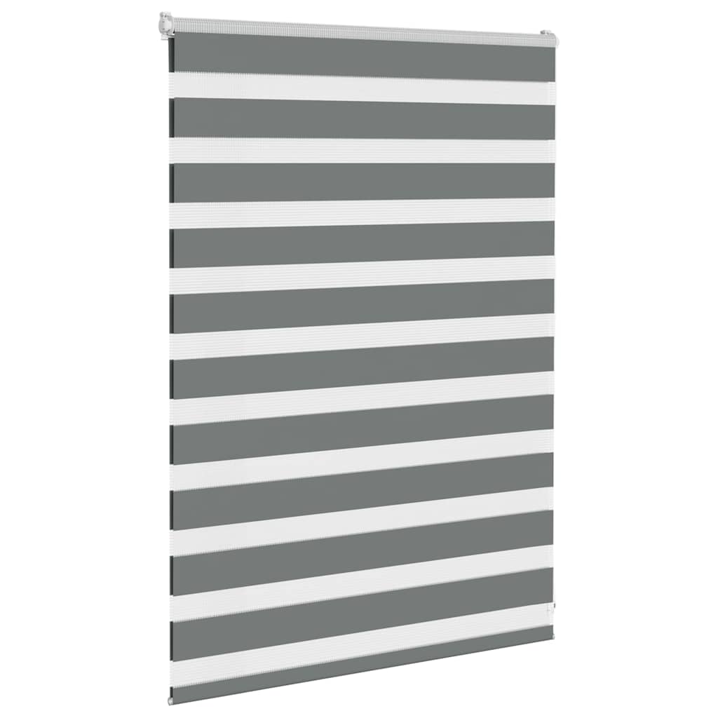 Vidaxl zebra rullo cieco 105x100 cm Larghezza tessuto 100,9 cm grigio scuro