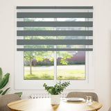 Vidaxl Zebra roller blind 120x100 cm Fabric width 115.9 cm dark gray