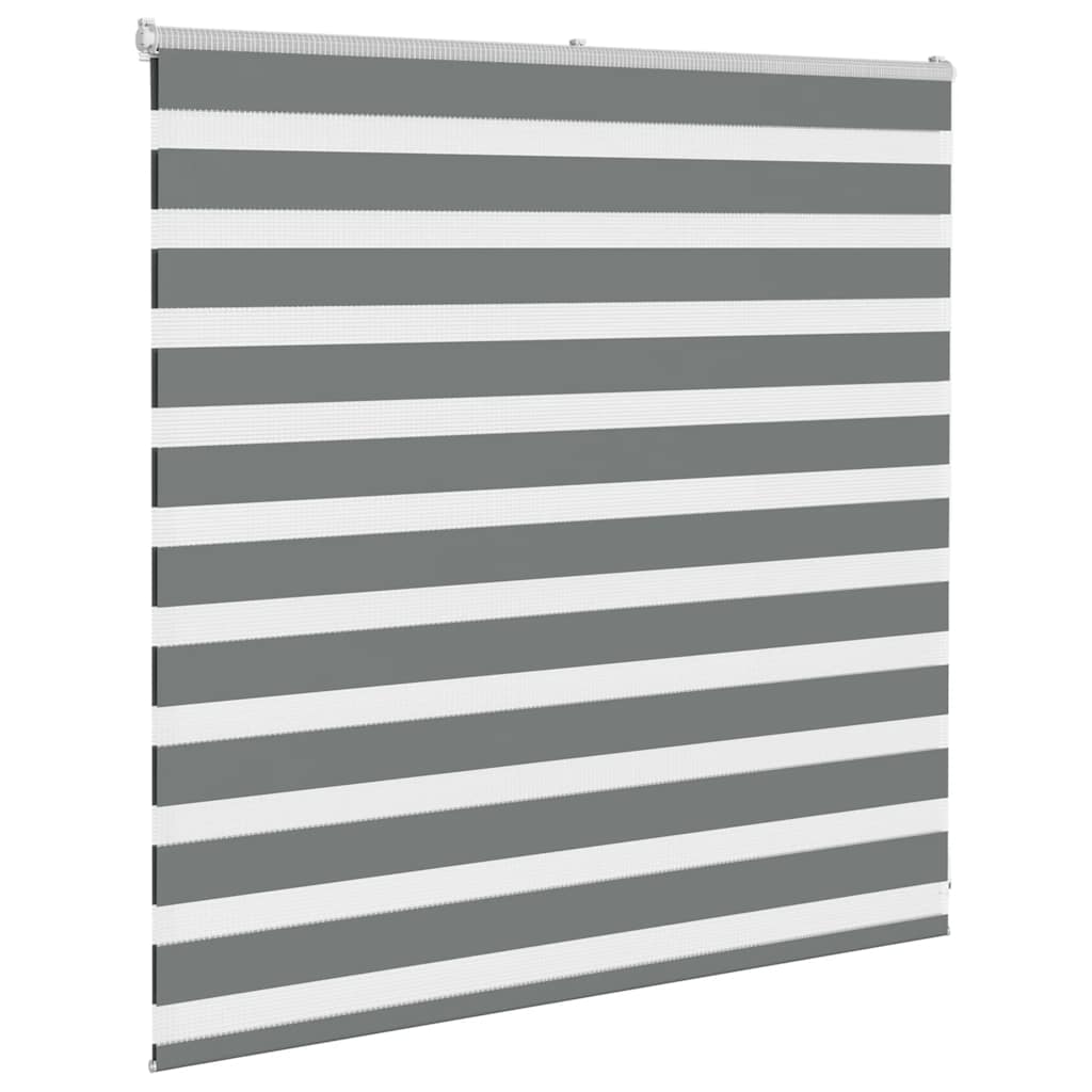 Vidaxl zebra rullo cieco 140x100 cm Larghezza polvere 135,9 cm grigio scuro