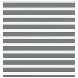 Vidaxl zebra rullo cieco 145x100 cm larghezza della polvere 140,9 cm grigio scuro