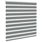 Vidaxl Zebra Roller Blind 145x100 cm Støvbredde 140,9 cm mørkegrå