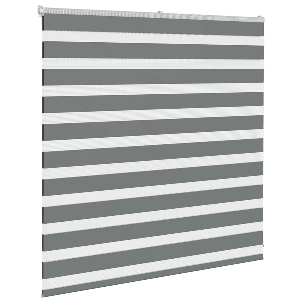 Vidaxl Zebra roller blind 150x100 cm dust width 145.9 cm dark gray