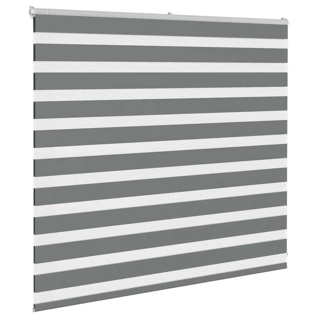 Vidaxl Zebra Roller Blind 160x100 cm Tygbredd 155,9 cm mörkgrå