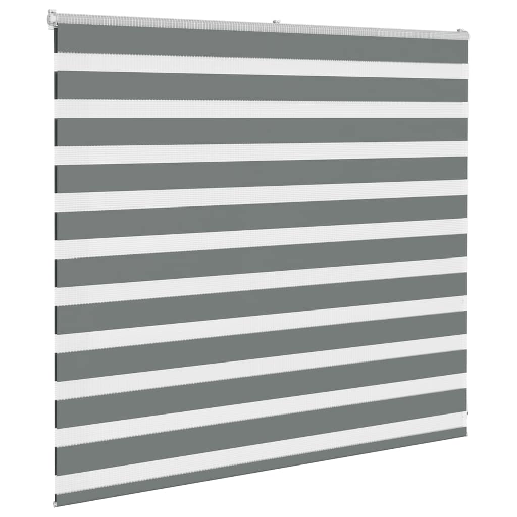 Vidaxl Zebra Roller Blind 165x100 cm Stoffbreite 160,9 cm dunkelgrau