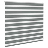 Vidaxl Zebra roller blind 165x100 cm Fabric width 160.9 cm dark gray