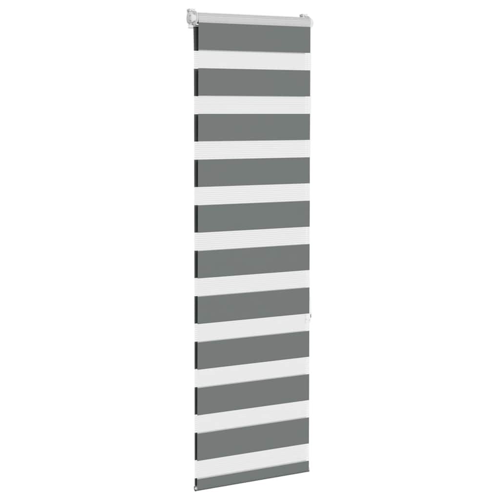 Vidaxl zebra rullo cieco 40x150 cm Larghezza polvere 35,9 cm grigio scuro