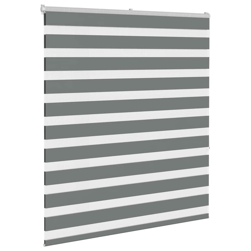 Vidaxl Zebra Roller Blind 120x150 cm Tygbredd 115,9 cm mörkgrå