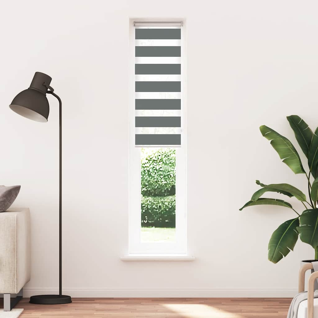 Vidaxl Zebra roller blind 40x200 cm dust width 35.9 cm dark gray