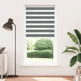 Vidaxl Zebra Roller Blind 110x200 cm Stoffbreite 105,9 cm dunkelgrau