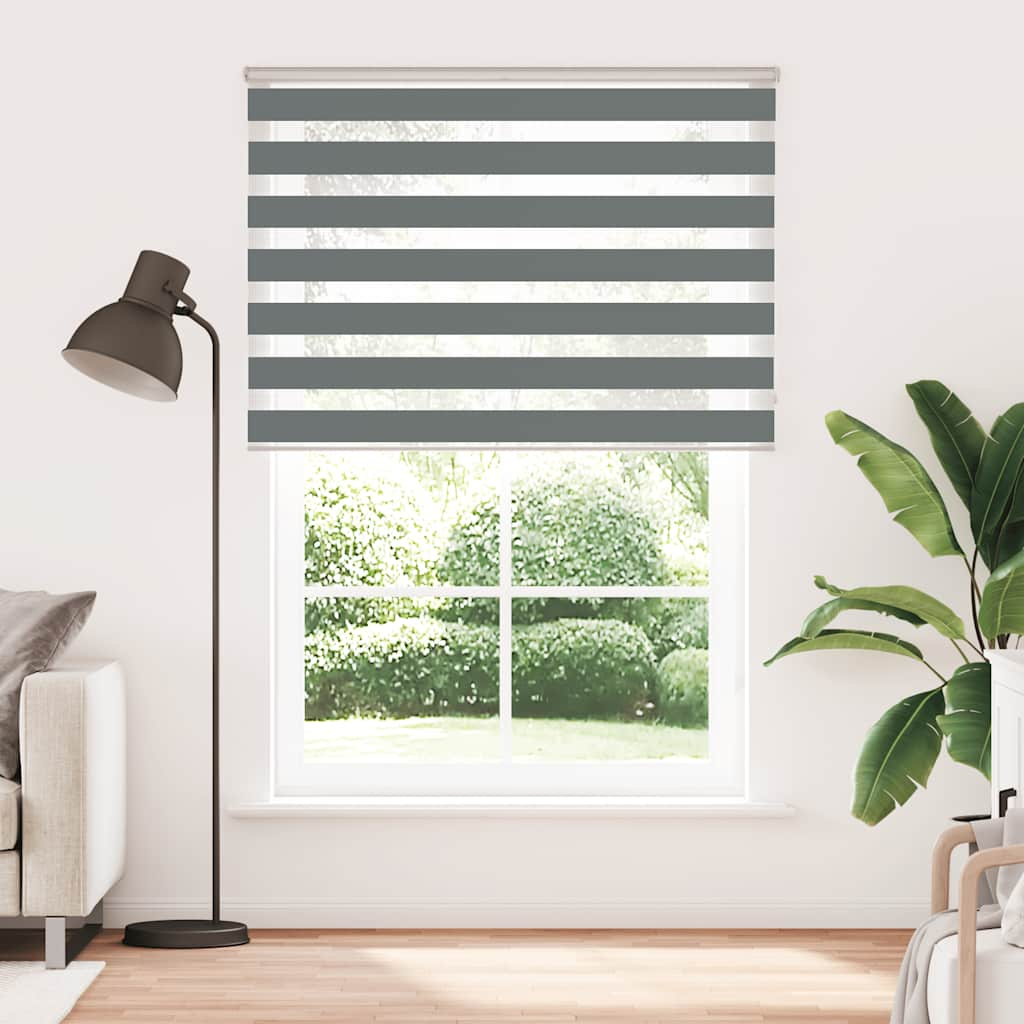 Vidaxl Zebra Roller Blind 160x200 cm Stoffbreite 155,9 cm dunkelgrau