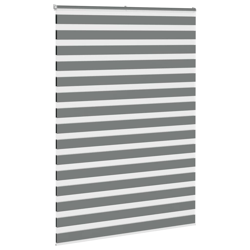 Vidaxl zebra rullo cieco 160x200 cm Larghezza tessuto 155,9 cm grigio scuro