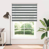 Vidaxl Zebra Roller Blind 165x200 cm Szerokość tkaniny 160,9 cm ciemnoszare