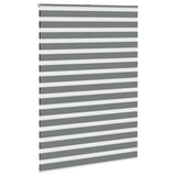 Vidaxl Zebra Roller Blind 155x230 cm Stoffbreite 150,9 cm dunkelgrau