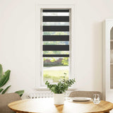 Vidaxl Zebra Roller Blind 45x100 cm ancho de polvo 40.9 cm negro