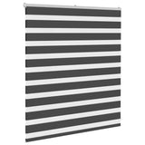 Vidaxl zebra rullo cieco 120x100 cm Larghezza tessuto 115,9 cm nero