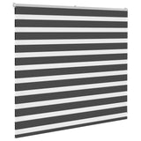 Vidaxl Zebra Roller Blind 160x100 cm de tela Ancho de 155.9 cm negro