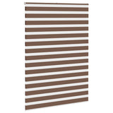 Vidaxl Zebra Roller Blind 155x230 cm Stoffbreite 150,9 cm Polyesterbraun