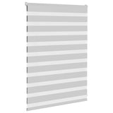 Vidaxl Zebra Roller Blind 100x100 cm Tygbredd 95,9 cm ljusgrå